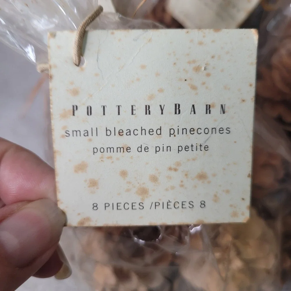 Pottery Barn Small Bleached Pinecones 5 Bags Decorative Bowl or Vase Filler NEW